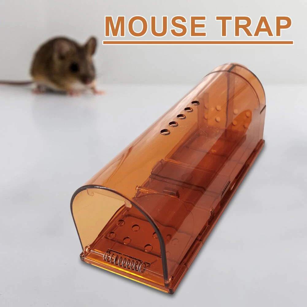 Catch and cheap release mouse traps