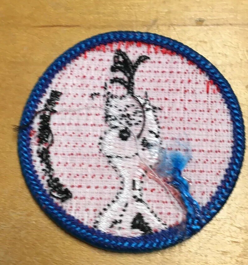 Picture 8 of 12