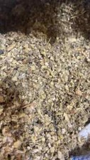 Wild Crafted Mullein Leaf 1 2 4 8 lb oz Lung cut bulk Herb