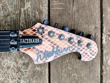 Washburn X81 Custom Shop-Jon Donais Owned (Anthrax)