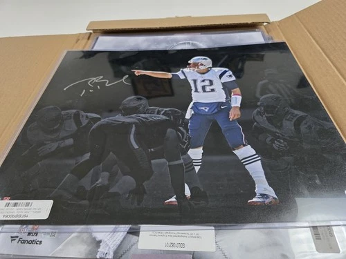 Tom Brady New England Patriots Signed Pointing Spotlight 16x20 Photo Fanatics