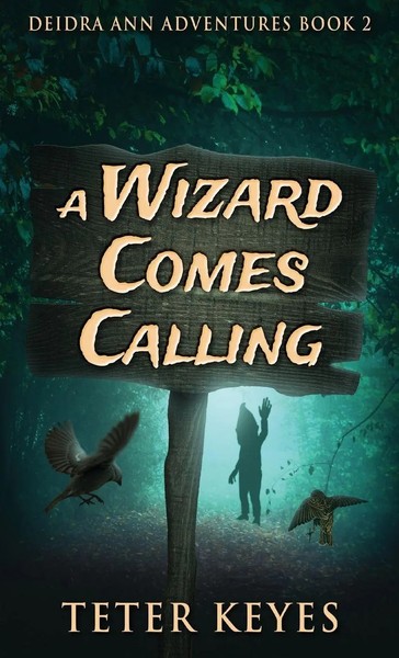 Teter Keyes | A Wizard Comes Calling | Buch | Englisch (2022) | Gebunden-image