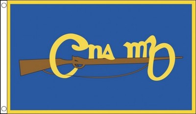 CUMANN NA MBAN FLAGGE 5 x 3 Osteraufstand Irland Irish Republican League of Women