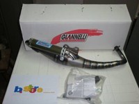Auspuff Giannelli Reverse Piaggio Typhoon 50 2T 2013 31620E