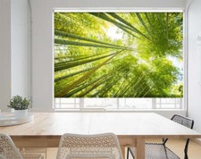View Of Bamboo Forest Trees Printed Picture Photo Window Roller Blinds Blackout