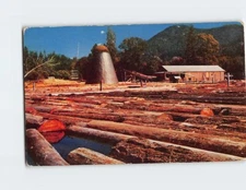 Postcard Sawmill and log pond on the Upper McKenzie River Oregon USA