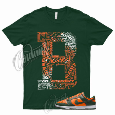 B BLS Shirt for Dunk Low Miami Orange Team Green High Rain FAMU Hurricane Forest