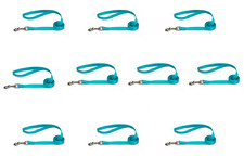 Set of 10, Dog Leash, Nylon Bulk Lead Bluebird Blue, 6 foot 1" wide, Zack  Zoey