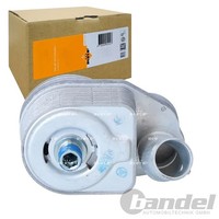 NRF ÖLkÜHler MotorÖL KÜHler Passend FüR Fiat Ducato | 31324