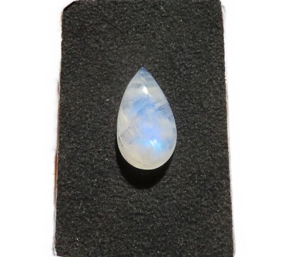 Mondstein blau - Blue Moonstone Cabochon 20,5x11,8 mm 12 ct. Nr. U33463