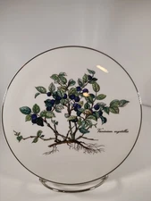 Villeroy & Boch BOTANTICA  Vaccinlum myrtillus Round Trivet Tea Tile