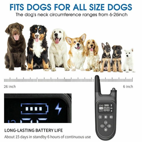 Antibell Hundehalsband Training 800M Erziehungshalsband Ton Vibration Schock DE - Bild 9 von 12