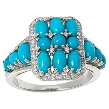 Colleen Lopez Sterling Silver Exotic Turquois...