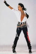 Michael Jackson King of Pop Art Wall Indoor Room Outdoor Poster - POSTER 20x30