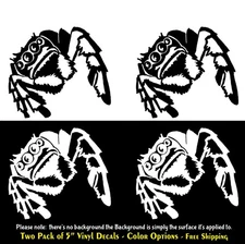 Jumping Spider Two PK 5" Vinyl Decals Car Truck Window Door Laptop Tablet