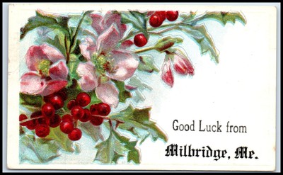 Postcard Flowers Good Luck From Milbridge, Me.  ME L68