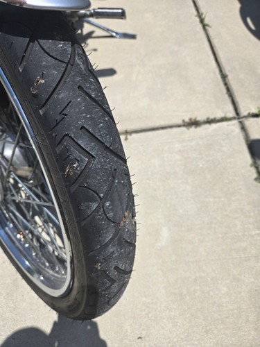 2003 Harley-Davidson Sportster - Picture 5 of 8