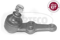 Corteco Trag-/FüHrungsgelenk 49395716 Passend FüR Nissan