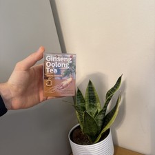 Ginseng Oolong Tea