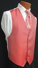 Men's Capri Coral Jean Yves Tuxedo Vest  Tie Pink Red Wedding Cruise Prom