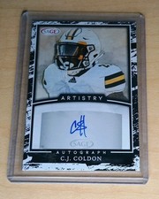 2022 Sage Hit C.J. Coldon Artistry Auto Wyoming Oklahoma