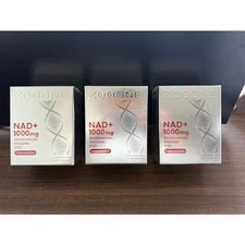 NR1000 NAD+ Drink Mix - Berry Flavor, Energy & Skin Support,3PACK