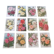 Antique Botanical Rose Lithographs - Set of 12