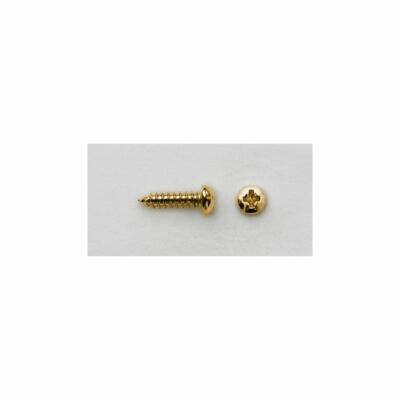 GÖLDO MUSIC SRD7G Vintage Mechaniken-Schraube, 2,5 x 10 mm, gold