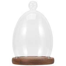 Glass Display Dome Cloche with Wooden Base Glass Cloche Dome Display Showcase...