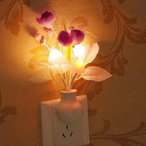 Decorative plug 2024 in wall lights