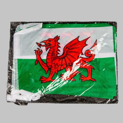 The Welsh Dragon Flag Is Displayed In Front Of The Welsh Football Team