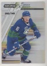 2020-21 Upper Deck Synergy Synergy FX 293/749 Brock Boeser #FX-22 z6b