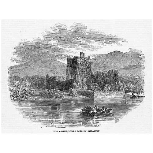 IRELAND Ross Castle Lower Lake of Killarney - Antique Print 1849