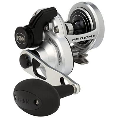 PENN International FATHOM II 25NLD Baitcasting Reel