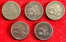 S131  Lot of 5 Coins - Flying Eagle Cent 1857 - 2 coins & 1858 - 3 coins
