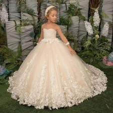Beautiful Pink Ball Gown Girl Dresses Vintage Dresses Long Sleeves Appliques