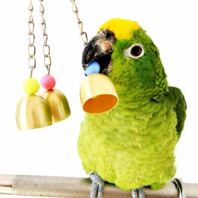 charming bird toy