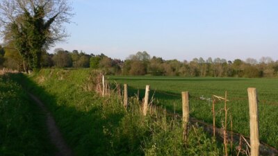 Foto 6x4 Fußweg durch Felder bei Spreakley Frensham Diese Felder sind um 2009