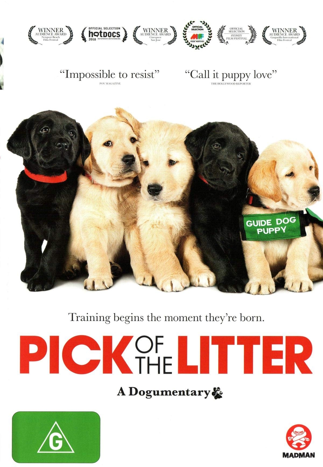Pick Of The Litter: A Dogumentary (DVD)