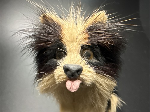 Vtg Real Fur Yorkie Terrier Collie Miniature Dog Figurine ~Taxidermy Style 2.75”