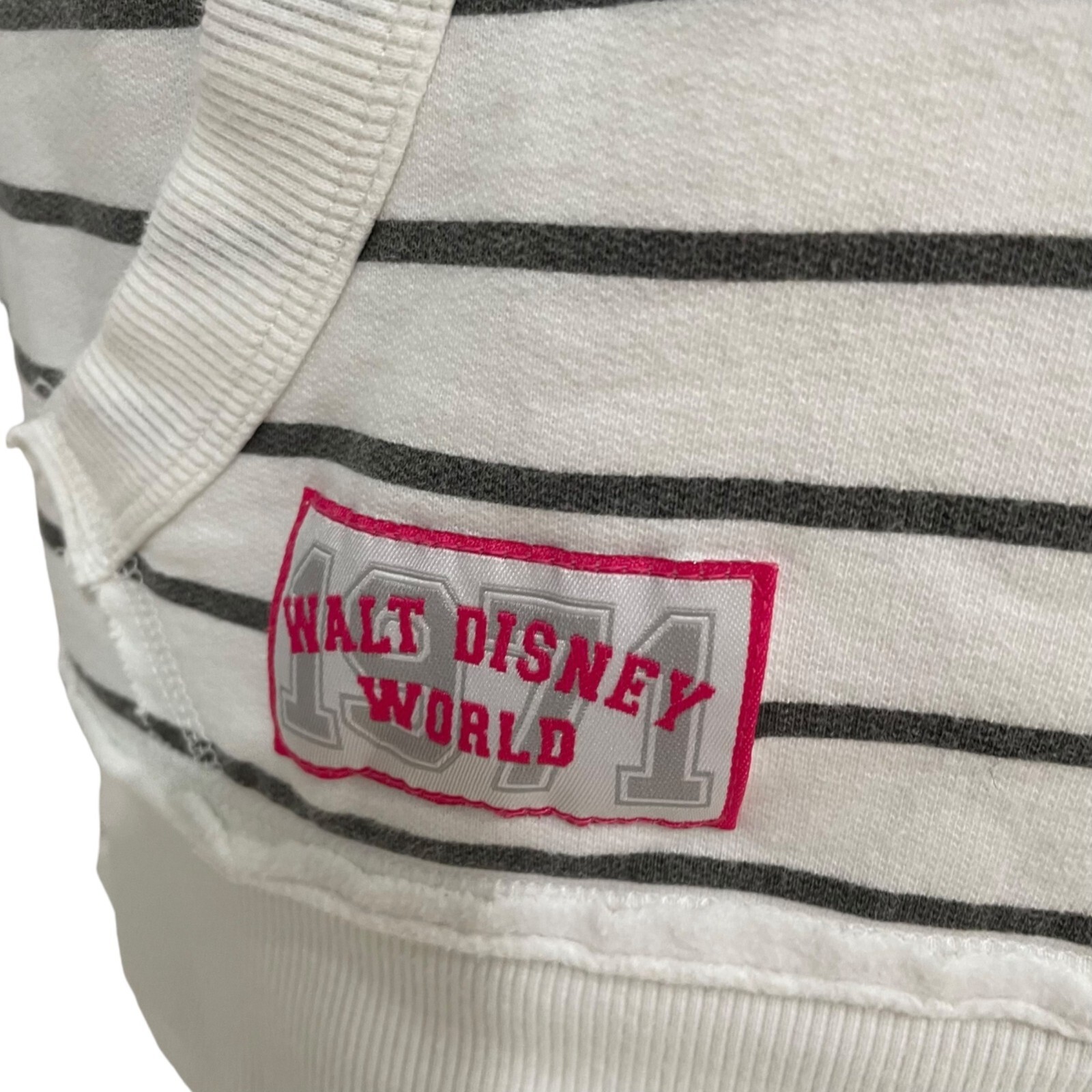 Disney Parks Authentic Walt Disney World 1971 Striped Hoodie M Retro Nostalgic
