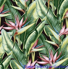 Birds of Paradise 1 - Botanical Art Print