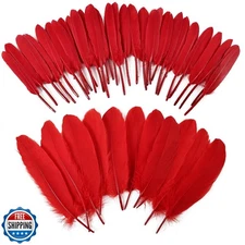 iHUFeather 270pcs Red Goose Feathers for Crafts 2 Styles 4-7 inch Bulk Natura