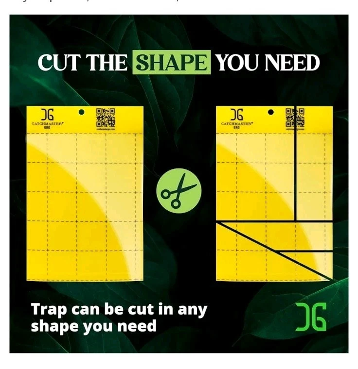 Catchmaster Gro Sticky Pest Traps - Thumbnail 5
