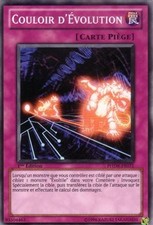 Yu-Gi-Oh: Corridor of Evolution | PHSW-FR071 | Commune | NM | FR