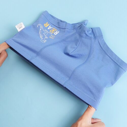 Paquete de 6 calzoncillos boxer peinados de algodón para niños pequeños ropa interior de entrenamiento para niños - Imagen 7 de 48