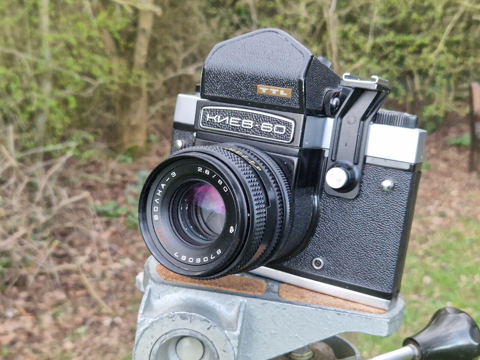 Picture 7 of 8