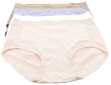 Breezies Set 3Nylon Microfiber Brief Panty Lilac S NWOT 378