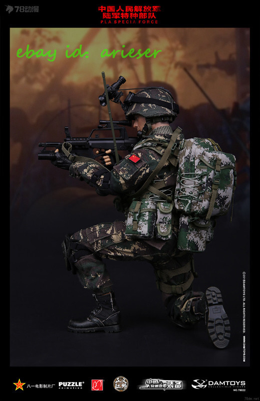 Damtoys 1/6 78022 Chinese People'S Liberation Army Specia Forces