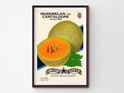 Cantaloupe Seed Packet POSTER! (up to 24'' x 36'') - Kitchen - Fruit - Garden